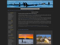 whale-images.com Thumbnail