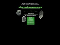 biostratigraphy.com Thumbnail