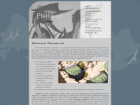 Pterosaur.net