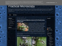 practical-microscopy.blogspot.com Thumbnail
