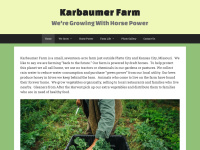karbaumerfarm.com