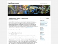 brainsource.com