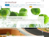 aquapulsesystems.com Thumbnail