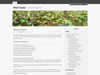 Wildtracks.wordpress.com