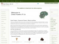 driedflowersrus.com Thumbnail