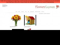 Flowerexpressusa.com