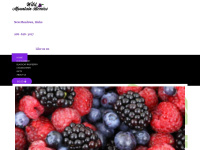 wildmountainberries.com