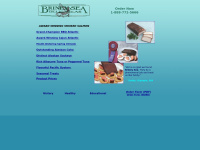 Brineysea.net