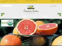 lonestargrapefruit.com Thumbnail
