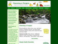 cleansingorsurgery.com Thumbnail