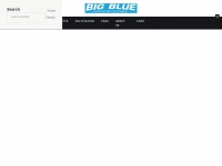 blueairproducts.com