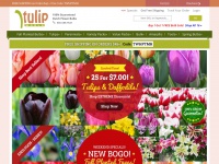 Tulipworld.com