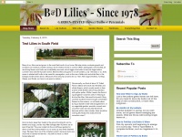 bdlilies.blogspot.com Thumbnail