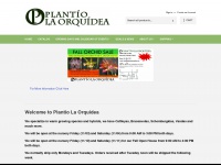plantiolaorquidea.com Thumbnail
