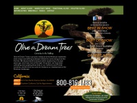 oliveadreamtrees.com