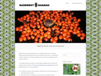 basementshaman.com Thumbnail