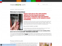 insectstore.com Thumbnail
