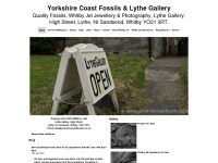 Yorkshirecoastfossils.co.uk
