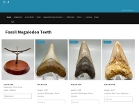 megalodonteeth.com Thumbnail