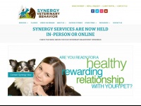 Synergybehavior.com