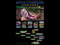 reptilesofaz.org Thumbnail