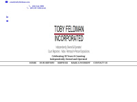 tobyfeldman.com Thumbnail