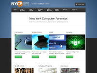 newyorkcomputerforensics.com Thumbnail