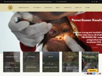 Orangutancentre.org