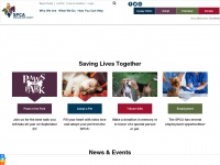 yourspca.org Thumbnail