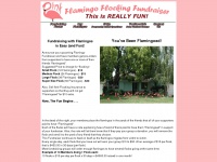 flamingofundraising.com