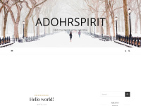 Adohrspirit.com