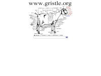 Gristle.org