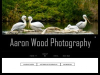 aaronwoodphotography.com