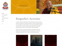 Ayangrinpoche.org