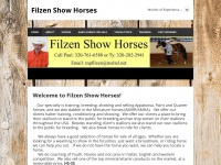 filzenshowhorses.com