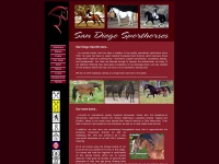 sandiegosporthorses.com Thumbnail