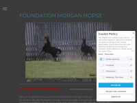 foundationmorganhorse.com Thumbnail