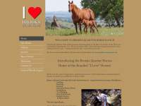 brooksquarterhorses.com Thumbnail