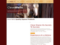 Clevewells.com