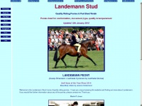 landemann.com
