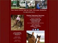 equineveterinaryservices.com Thumbnail