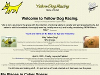 yellowdogracing.com Thumbnail