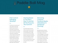 paddleballmag.com Thumbnail