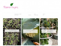 Bloominthyme.com