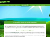 dignow.org