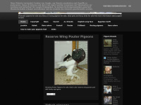 Fancy-pets-loft.blogspot.com