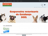 coveca.net Thumbnail