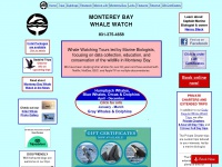 montereybaywhalewatch.com Thumbnail