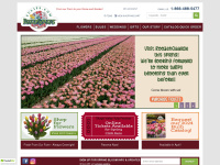 tulips.com