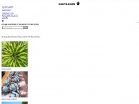 cacti.com Thumbnail